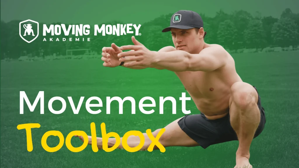 movement toolbox