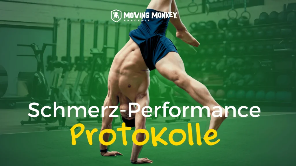 Schmerz-Performance-Checks und Fortschritt sichtbar machen schmerz performance protokolle